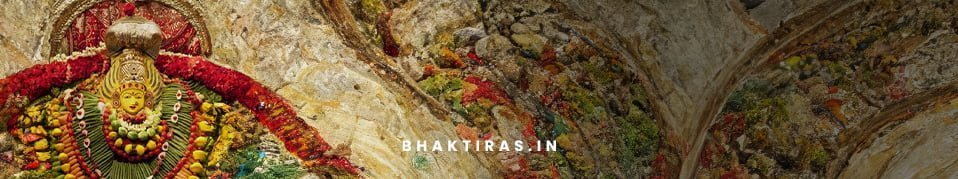 शाकम्भरी देवी जी की आरती
