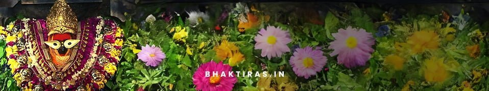 श्री विन्ध्यवासिनी जी की आरती
