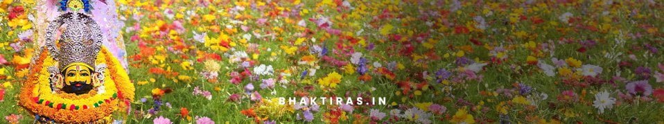 सांवरिया कर दो बेड़ा पार भजन लिरिक्स